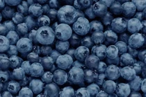 3 loại trái cây giàu dưỡng chất tốt cho gan