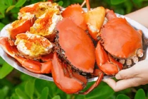 Thịt cua giàu dinh dưỡng, nhưng 3 phần này nếu ăn vào gây hại sức khỏe