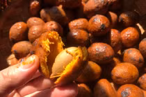 Lợi ích bất ngờ của quả cọ đối với sức khỏe