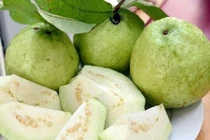 Chọn ổi ngon, giòn, ngọt không khó với 5 mẹo từ người trồng