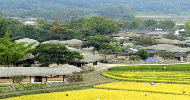 Ngôi làng 500 tuổi này gồm nhiều ngôi nhà mái ngói khang trang của quý tộc ngày xưa xen kẽ với nhà tranh của dân thường. Đó là một ngôi làng truyền thống điển hình ở Hàn Quốc. Tới đây tham quan, du khách sẽ được trải nghiệm nhiều hoạt động truyền thống bản địa như làm quạt, làm bánh gạo... Ảnh Bestour Ngôi làng 500 tuổi này gồm nhiều ngôi nhà mái ngói khang trang của quý tộc ngày xưa xen kẽ với nhà tranh của dân thường. Đó là một ngôi làng truyền thống điển hình ở Hàn Quốc. Tới đây tham quan, du khách sẽ được trải nghiệm nhiều hoạt động truyền thống bản địa như làm quạt, làm bánh gạo... Ảnh Bestour