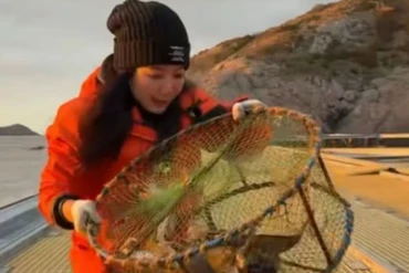 Bỏ thành phố đến sống trên đảo hoang, cô gái khiến bao người bất ngờ