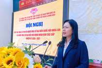 Ứng cử viên ĐBQH hội khóa XVI Vũ Thị Lan Anh tiếp xúc cử tri tại Nghệ An