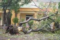 Nhiều trường học, cơ sở y tế ở Nghệ An bị thiệt hại nặng nề do bão số 10