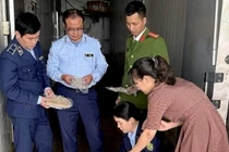 Phạt 16 triệu, tiêu hủy 40 kg dồi sụn không rõ nguồn gốc ở Nghệ An