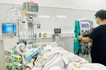 Cứu sống người đàn ông Đà Nẵng bị rắn hoa cổ đỏ cắn nguy kịch