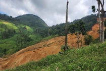 Sạt lở kinh hoàng giữa trời nắng ráo ở Đà Nẵng, 3 người mất liên lạc