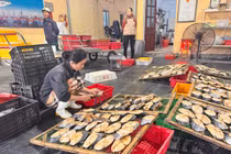 Giữ lửa làng biển Cửa Lò trong mùa cá thu nướng Tết