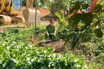 Trang trại lợn ở Thanh Hóa gây ô nhiễm bị phạt hơn 1 tỷ đồng 