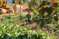 Trang trại lợn ở Thanh Hóa gây ô nhiễm bị phạt hơn 1 tỷ đồng 