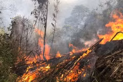 Chuyên gia cảnh báo nắng nóng sớm, nguy cơ cháy nổ và ảnh hưởng sức khỏe