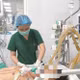 Từ vết xước nhỏ đến hoại tử chi, sốc nhiễm khuẩn nguy hiểm