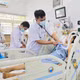 Liên tiếp ca rắn độc cắn nguy kịch, bác sĩ cảnh báo sai lầm chết người