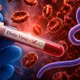 WHO cảnh báo khẩn về Ebola Bundibugyo tại châu Phi