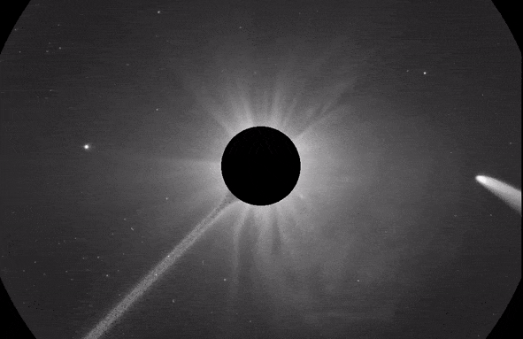 Các nhà khoa học tin rằng sao chổi tối có nguồn gốc từ vành đai tiểu hành tinh giữa Sao Hỏa và Sao Mộc.