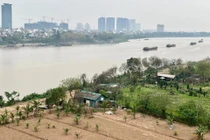 Hà Nội chỉ đạo xử lý vụ “xẻ thịt” bãi giữa sông Hồng
