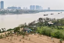 Hà Nội chỉ đạo xử lý vụ “xẻ thịt” bãi giữa sông Hồng