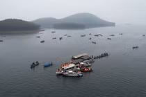 Khởi tố, bắt tạm giam lái tàu trong vụ chìm tàu trên hồ Thác Bà