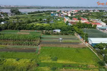 'Tận mục' dự án đấu giá đất hơn 200 tỷ ở khu du lịch Hồng Vân