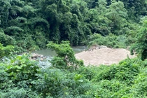 Yêu cầu dừng khai thác cát trái phép ở suối Nậm Ma