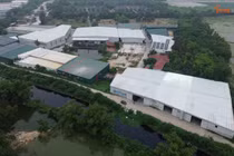 Một phường ở Bắc Ninh phát hiện hàng trăm vi phạm về đất đai