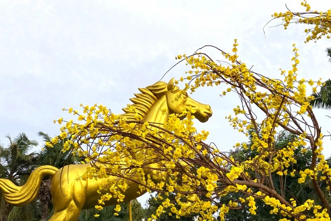 Đại cảnh hoa Xuân Bính Ngọ rực rỡ bên công viên Tháp Nước ở Lâm Đồng