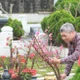 Người dân về nghĩa trang tảo mộ, mời gia tiên về đón Tết