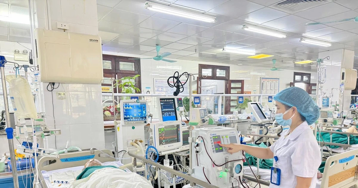 Dọn sân thượng, người đàn ông 45 tuổi bị ong vò vẽ đốt suy đa tạng