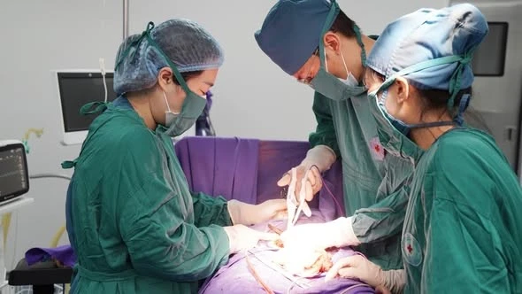 Chậm kinh đau bụng, người phụ nữ chửa ngoài tử cung đoạn kẽ nguy hiểm