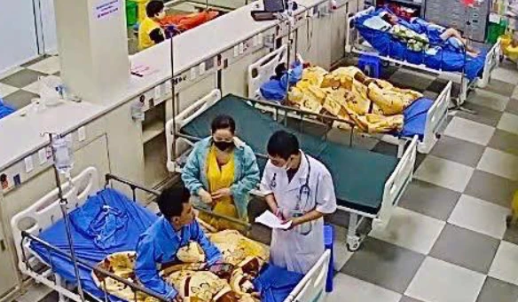 Bất ngờ bị ong vò vẽ đốt, chàng trai 21 tuổi sốc phản vệ nguy kịch