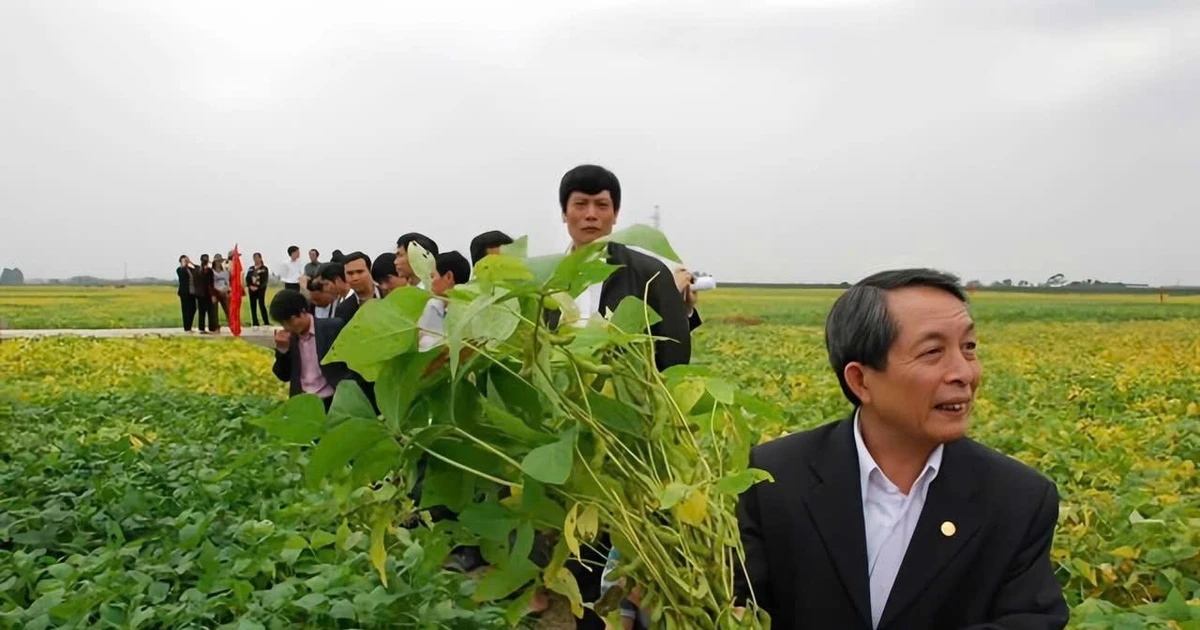 GS.TSKH Trần Đình Long, từ cánh đồng trung du tới công dân Thủ đô ưu tú