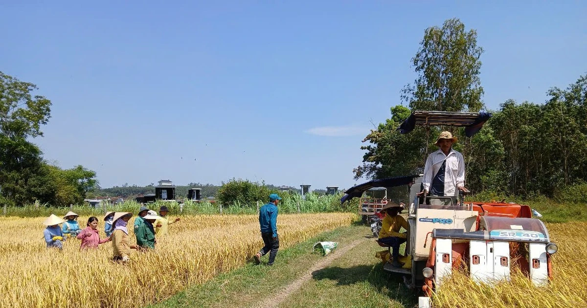 Chuyển đổi số nông nghiệp, bài 'kiểm tra' năng lực chuyển đổi số quốc gia