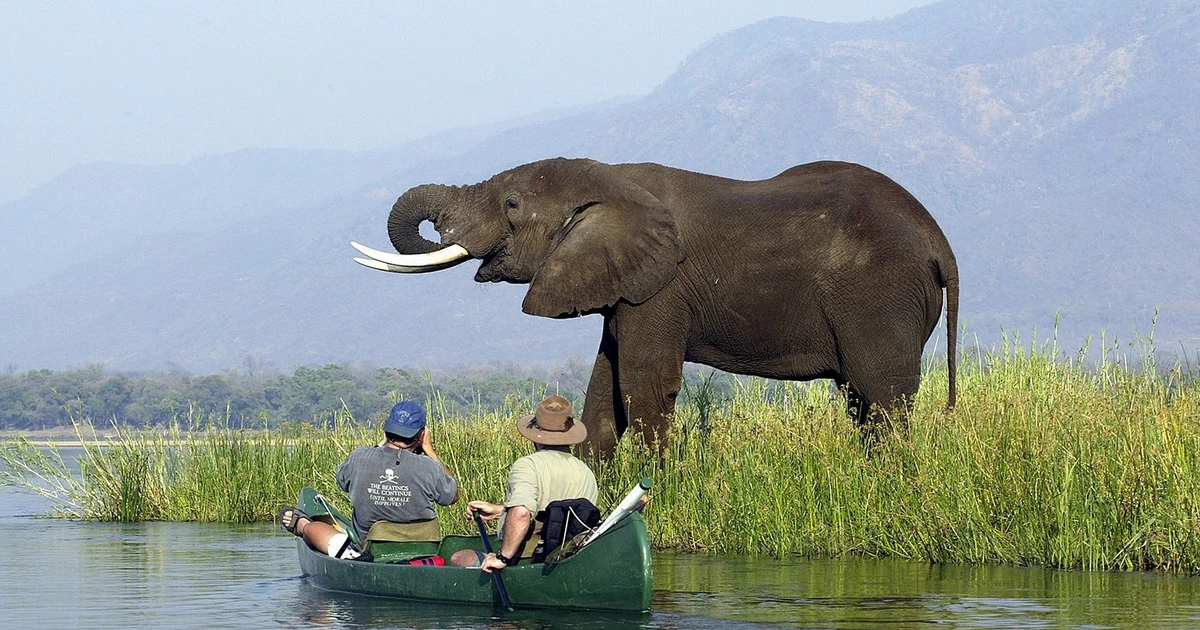 Vẻ đẹp nguyên sơ của Mana Pools, di sản thế giới UNESCO
