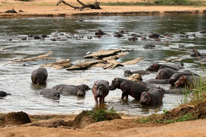 Garamba – nơi giữ gìn di sản thiên nhiên và lịch sử cổ đại