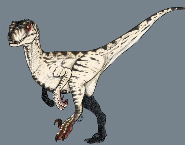 Velociraptor: Kẻ săn mồi nhỏ nhắn nhưng đầy chiến lược