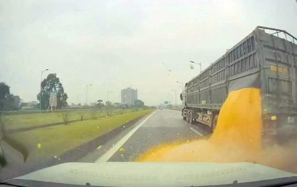 CSGT xử phạt tài xế làm rơi 3 tấn ngô hạt trên đường cao tốc