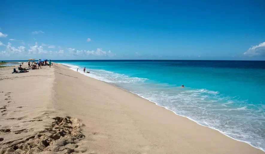 Người phụ nữ bị cá mập tấn công tử vong trên bãi biển