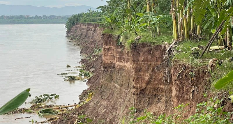 Phú Thọ công bố tình huống khẩn cấp về thiên tai do sạt lở bờ sông Lô