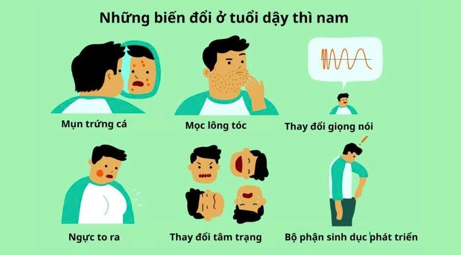 Suy sinh dục ở nam giới, nhận biết sớm tránh hệ lụy nguy hiểm