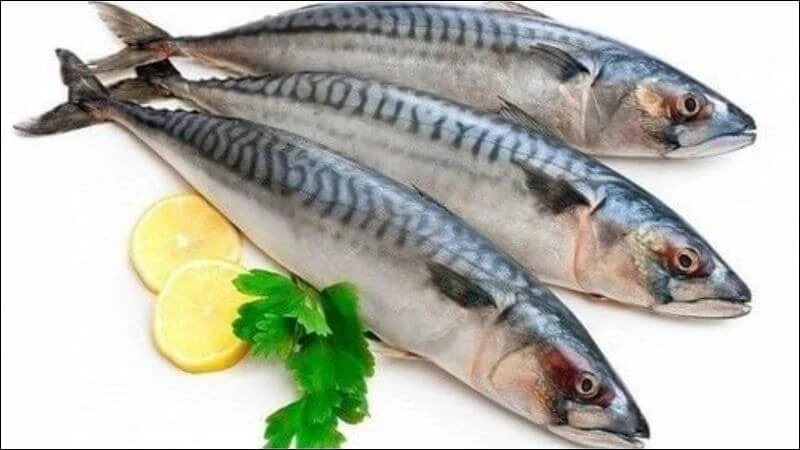 Khám phá lợi ích của cá thu đối với sức khỏe