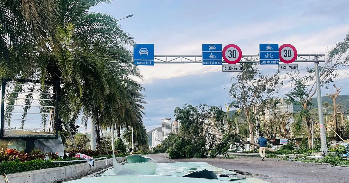 Hơn 538 tỷ đồng hỗ trợ các tỉnh miền Bắc và Trung vượt qua thiên tai