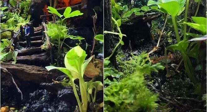 Ngắm căn nhà ngập sắc xanh của mẹ đơn thân Elly Trần