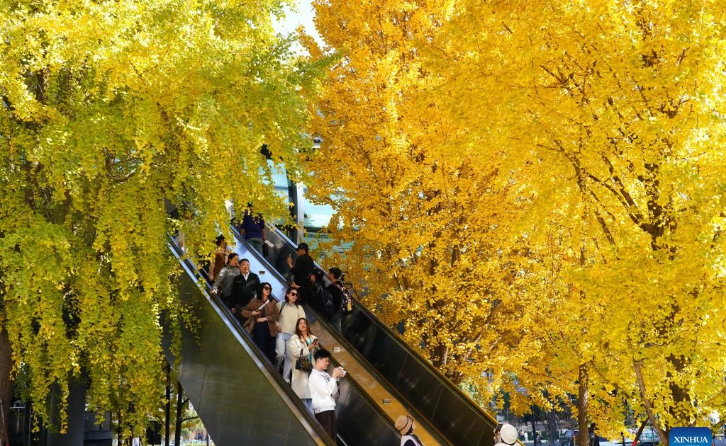 Ấn tượng cảnh sắc mùa đông ở Trung Quốc