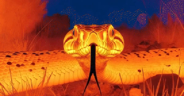 Camera "mắt rắn" có thể thay đổi ngành công nghiệp quốc phòng