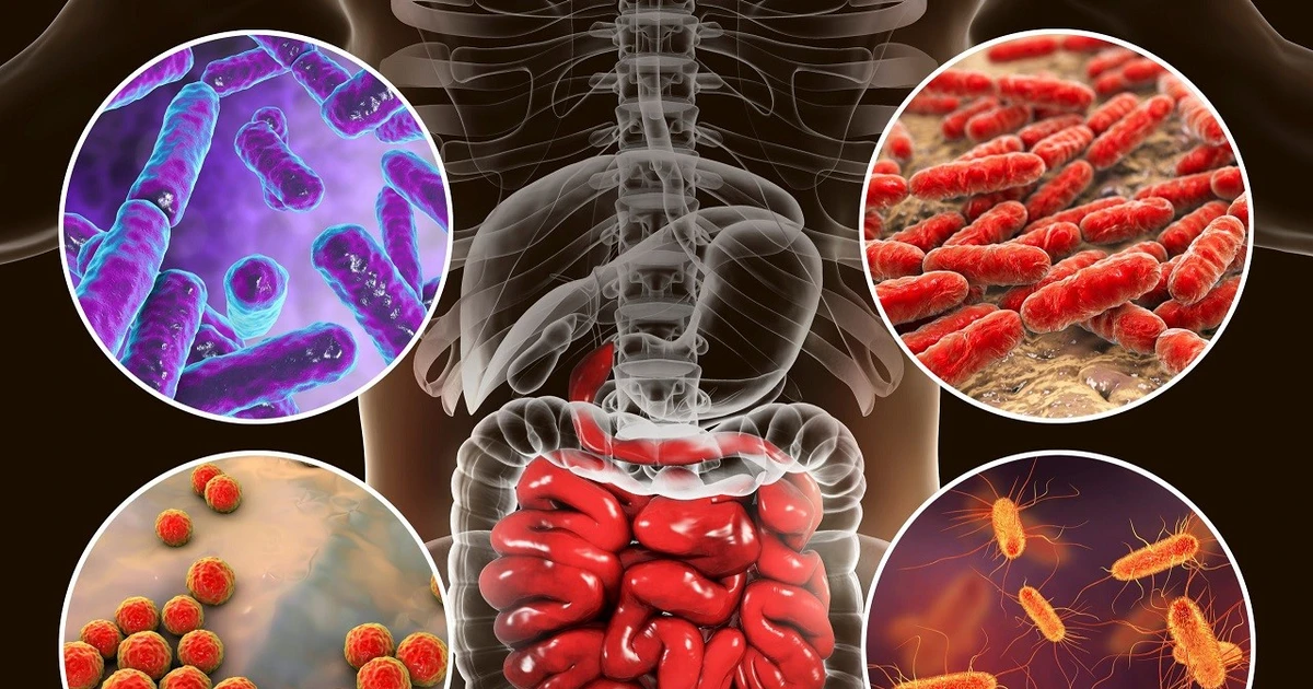 Chủ động phòng bệnh lây qua đường tiêu hoá theo mùa, khi ngập lụt