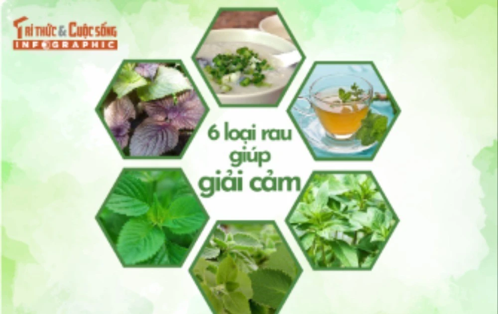 [INFOGRAPHIC] Top 6 loại rau giúp giải cảm hiệu quả tại nhà