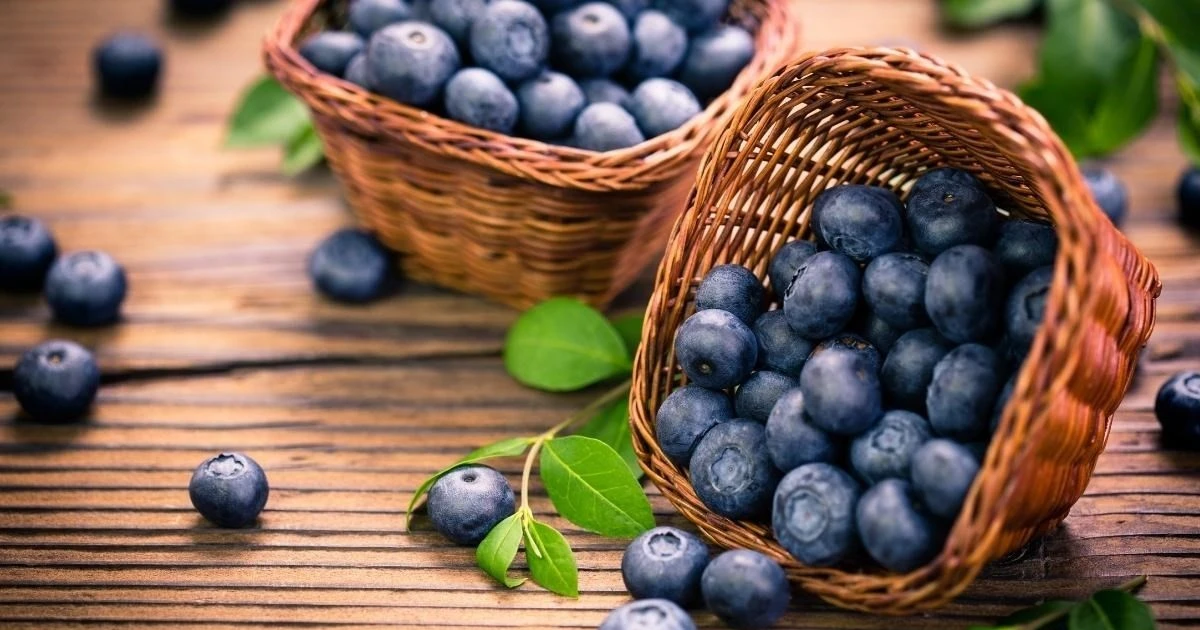 Thực phẩm giúp kiểm soát mỡ nội tạng, bảo vệ tim mạch hiệu quả