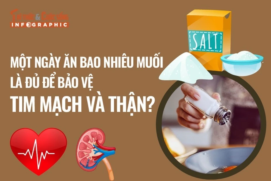 [INFOGRAPHIC] Ăn bao nhiêu muối mỗi ngày để phòng ngừa bệnh tim mạch, thận?