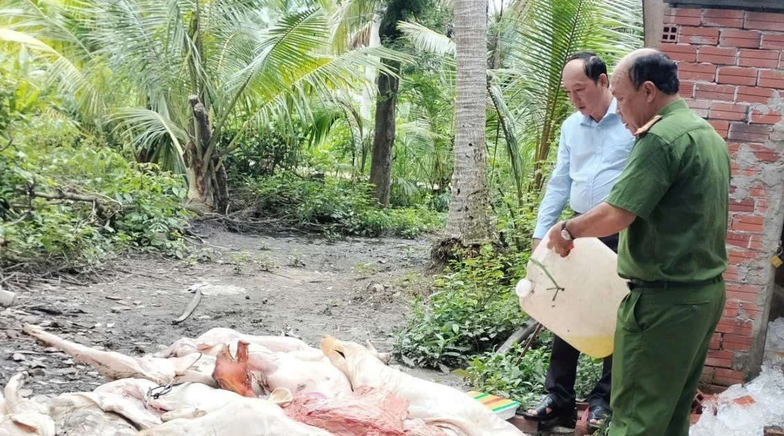 Phát hiện, tiêu hủy lượng lớn thịt heo bốc mùi trong lò mổ ở Vĩnh Long