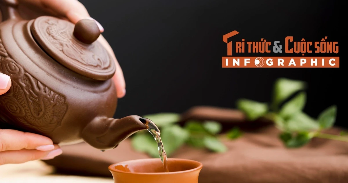 [INFOGRAPHIC] Các loại trà giúp bảo vệ tim mạch hiệu quả